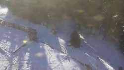 Přístup na běžeckou trať