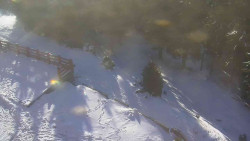 Přístup na běžeckou trať