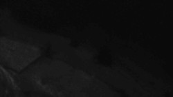 Přístup na běžeckou trať