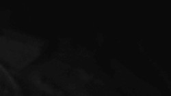 Přístup na běžeckou trať