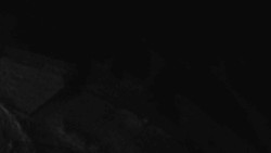 Přístup na běžeckou trať