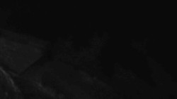 Přístup na běžeckou trať