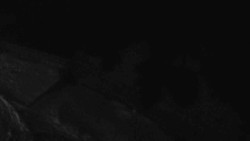 Přístup na běžeckou trať