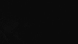 Přístup na běžeckou trať