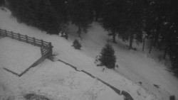 Přístup na běžeckou trať