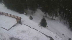 Přístup na běžeckou trať