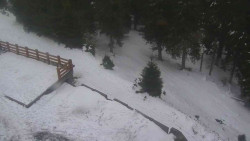 Přístup na běžeckou trať