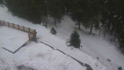 Přístup na běžeckou trať