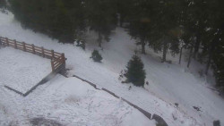 Přístup na běžeckou trať