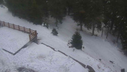 Přístup na běžeckou trať