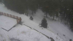 Přístup na běžeckou trať