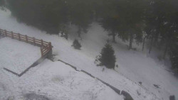 Přístup na běžeckou trať