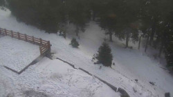 Přístup na běžeckou trať