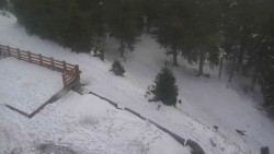 Přístup na běžeckou trať