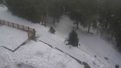 Přístup na běžeckou trať