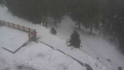 Přístup na běžeckou trať