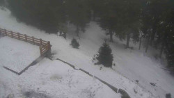 Přístup na běžeckou trať