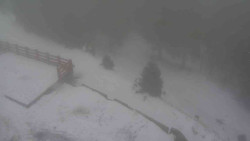 Přístup na běžeckou trať