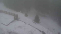 Přístup na běžeckou trať