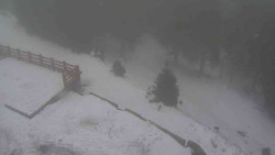 Přístup na běžeckou trať