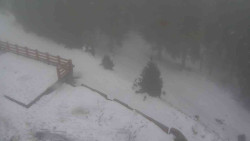 Přístup na běžeckou trať