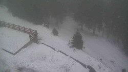 Přístup na běžeckou trať