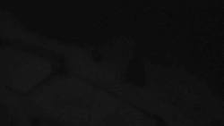 Přístup na běžeckou trať