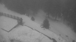 Přístup na běžeckou trať