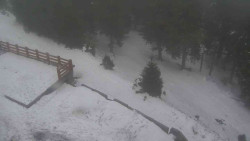 Přístup na běžeckou trať