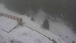 Přístup na běžeckou trať