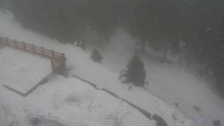 Přístup na běžeckou trať