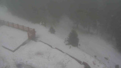 Přístup na běžeckou trať