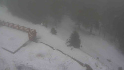 Přístup na běžeckou trať