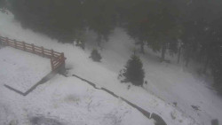 Přístup na běžeckou trať