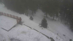 Přístup na běžeckou trať