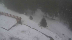 Přístup na běžeckou trať