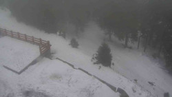 Přístup na běžeckou trať