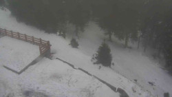 Přístup na běžeckou trať