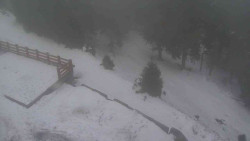 Přístup na běžeckou trať