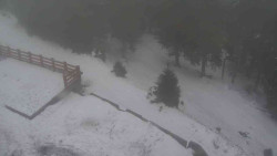 Přístup na běžeckou trať