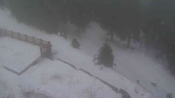 Přístup na běžeckou trať