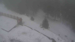 Přístup na běžeckou trať