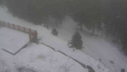 Přístup na běžeckou trať