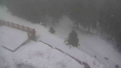 Přístup na běžeckou trať