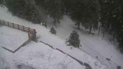 Přístup na běžeckou trať