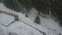 Přístup na běžeckou trať