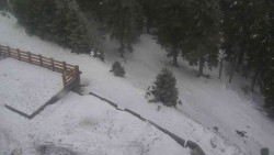 Přístup na běžeckou trať