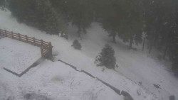 Přístup na běžeckou trať