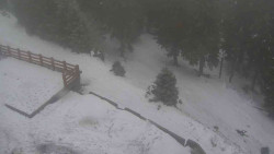 Přístup na běžeckou trať