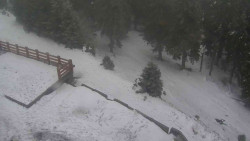 Přístup na běžeckou trať